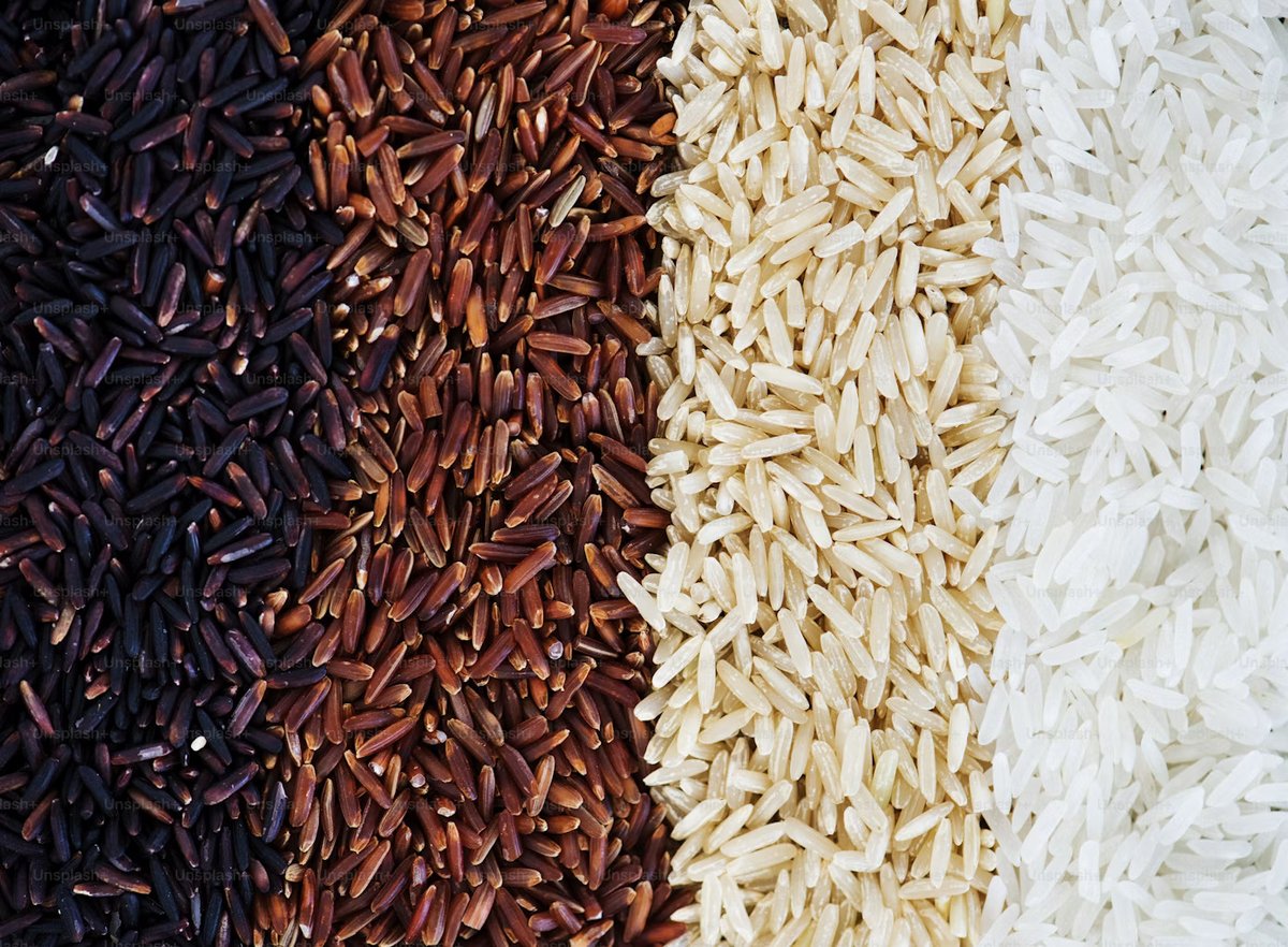 Rice